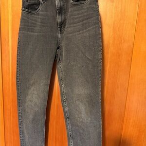 Everlane Women’s Dark Gray Slim 90s Cheeky Jean